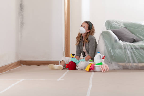 Reliable Commercial Mold Remediation contractor in Taneytown, MD by WQB Mold Removal